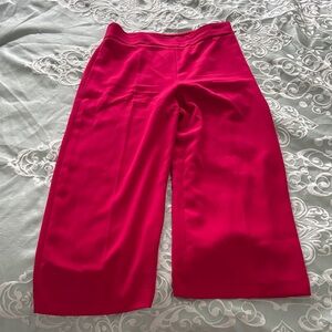 Zara Bold Fuchsia Wide-Leg Pants